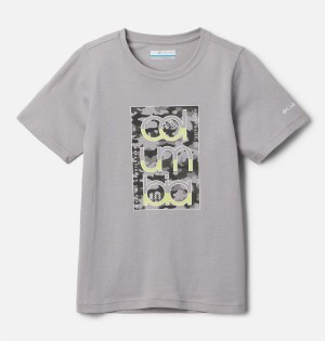 Columbia Basin Ridge Short Sleeve Graphic Kids' T-Shirt Grey | XMFVHJ-827