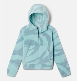 Columbia Benton Springs Half Zip Fleece Pullover Kids' Hoodie Turquoise | AURTOW-219