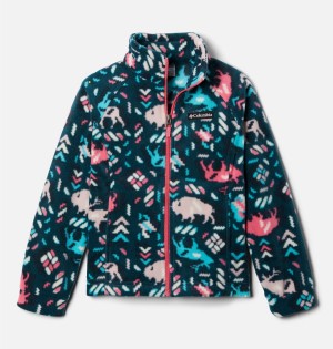 Columbia Benton Springs II Printed Fleece Kids' Jacket Pink | PXLOBK-682