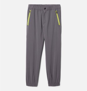 Columbia Daytrekker Kids' Pants Grey | SQVPHJ-409