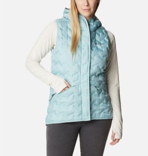 Columbia Delta Ridge Hooded Women's Vest Turquoise | BZCNYL-908