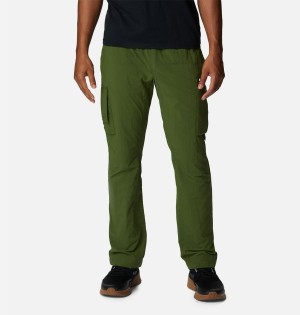Columbia Deschutes Valley Men's Pants Green | NBFZLH-360