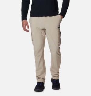 Columbia Deschutes Valley Men's Pants Khaki | YLFEVQ-031