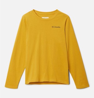 Columbia Dobson Pass Long Sleeve Graphic Kids' T-Shirt Yellow | FRVJXW-836