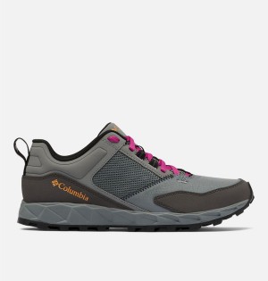 Columbia Flow District Women's Sneakers Grey | UBVERS-130