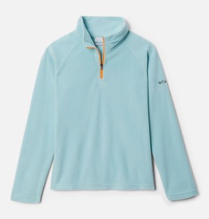 Columbia Glacial 1/4 Zip Pullover Kids' Fleece Turquoise | USPOTZ-072