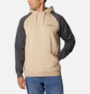 Columbia Hart Mountain II Men's Hoodie Beige | QVWOTB-214