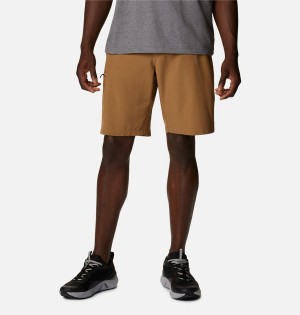 Columbia Kenvile Lake Men's Shorts Brown | RIBAQZ-645