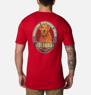 Columbia Kingston Graphic Men's T-Shirt Red | SPWIUA-603