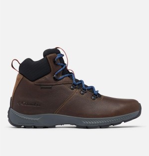 Columbia Landroamer Explorer Waterproof Boot Men's Hiking Shoes Brown | UOKPNF-327