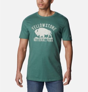 Columbia NP Yellowstone Graphic Men's T-Shirt Green | DCHQBF-850
