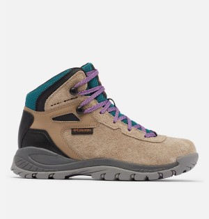 Columbia Newton Ridge BC Boot Women's Hiking Shoes Brown | DVSJIB-340