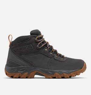 Columbia Newton Ridge Plus II Suede Waterproof Boot Men's Hiking Shoes Grey | XKVQGI-304