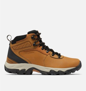 Columbia Newton Ridge Plus II Waterproof Boot Men's Hiking Shoes Brown | DKCJTP-167