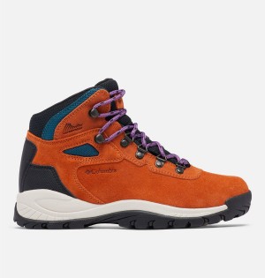 Columbia Newton Ridge Plus Waterproof Amped Boot Women's Hiking Shoes Orange | PFEYZO-867