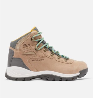 Columbia Newton Ridge Plus Waterproof Amped Boot Women's Hiking Shoes Brown | ZKVMXQ-419