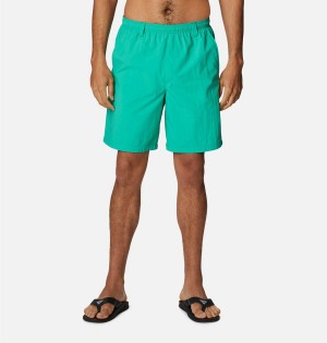 Columbia PFG Backcast III Water Men's Shorts Green | WZCGSF-428
