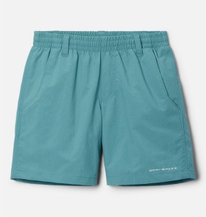 Columbia PFG Backcast Kids' Shorts Turquoise | GBPJYN-207