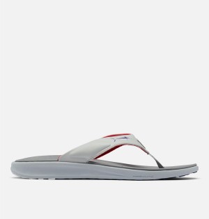 Columbia PFG Fish Flip II Men's Sandals Grey | HESUDJ-569