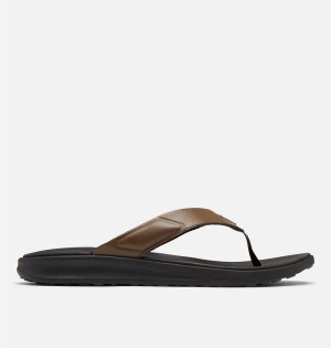 Columbia PFG Rostra Beachcomber Flip Flop Men's Sandals Brown | FVYDQC-574