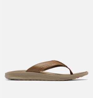 Columbia PFG Rostra Beachcomber LE Flip Flop Men's Sandals Brown | SOHKPJ-430