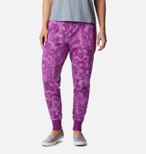 Columbia PFG Slack Water French Terry Joggers Women's Pants Purple | NAJSYX-789