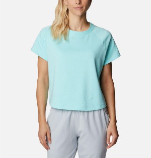 Columbia PFG Slack Water French Terry Women's T-Shirt Blue | NEYUQO-296
