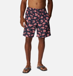 Columbia PFG Super Backcast Water Men's Shorts Red | REIUCV-976