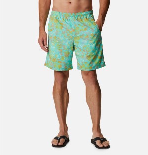 Columbia PFG Super Backcast Water Men's Shorts Turquoise | CWIXEV-615