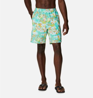 Columbia PFG Super Backcast Water Men's Shorts Turquoise | RYWKNL-731