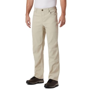 Columbia PHG Bucktail Men's Pants Khaki | BCMSGK-092