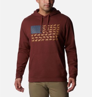 Columbia PHG Game Flag II Men's Hoodie Red | MFJWZP-821