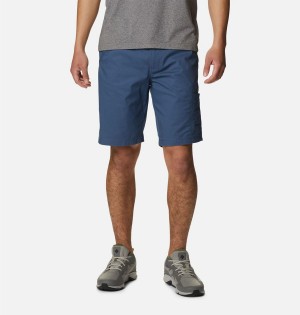 Columbia Pine Canyon Cargo Men's Shorts Blue | HYLVFD-836