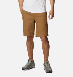 Columbia Pine Canyon Cargo Men's Shorts Brown | BCPXGT-031