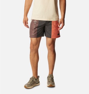 Columbia Riptide Retro Men's Shorts Grey | HYASBR-210