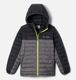 Columbia Silver Falls Hooded Kids' Jacket Grey | IYDTXL-203