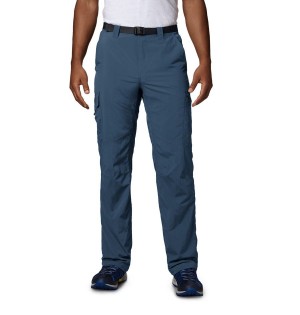 Columbia Silver Ridge Cargo Men's Pants Blue | REJDVA-489