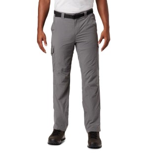 Columbia Silver Ridge Cargo Men's Pants Grey | ORVPYT-146