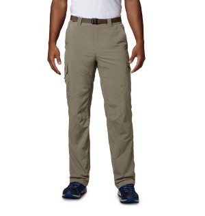 Columbia Silver Ridge Cargo Men's Pants Khaki | IQOGNE-846