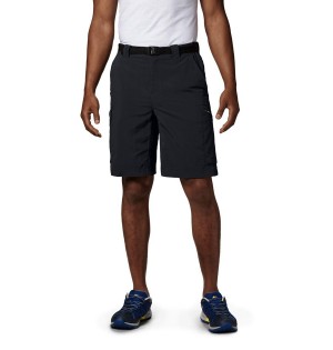 Columbia Silver Ridge Cargo Men's Shorts Black | SEWJTA-145