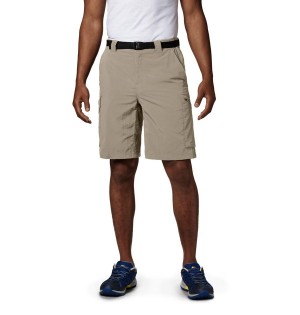 Columbia Silver Ridge Cargo Men's Shorts Khaki | VUDAOE-761