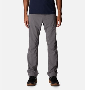Columbia Silver Ridge Utility Men's Pants Grey | BUEYTX-510