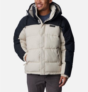 Columbia Snowqualmie Insulated Men's Puffer Jacket White | EANLPG-206