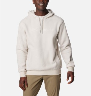 Columbia Steens Mountain Men's Hoodie White | RVOICG-380