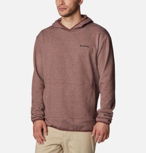 Columbia Stone Canyon Men's Hoodie Brown | JVBKQZ-685