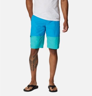 Columbia Summerdry Belted Men's Shorts Blue | GRBVSL-038