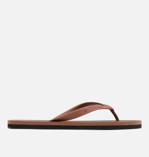 Columbia Sun Trek Flip Flop Men's Sandals Brown | ZQFLGK-968