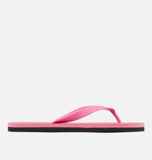 Columbia Sun Trek Flip Flop Women's Sandals Pink | ZLXCOA-937