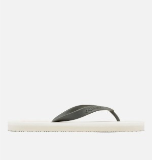 Columbia Sun Trek Flip Flop Women's Sandals White | DYQLBA-087