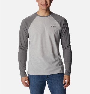 Columbia Thistletown Hills Raglan Men's T-Shirt Grey | BNXQKR-740